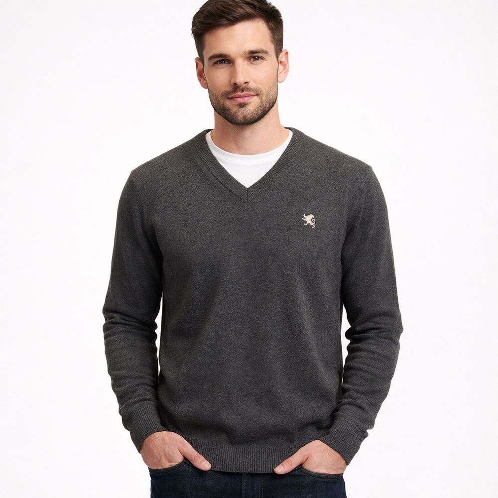 Express Men’s Cotton V-neck Sweater Preppy XL